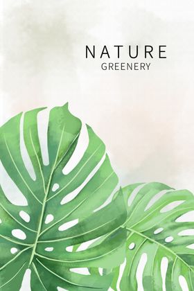 小清新植物玄关