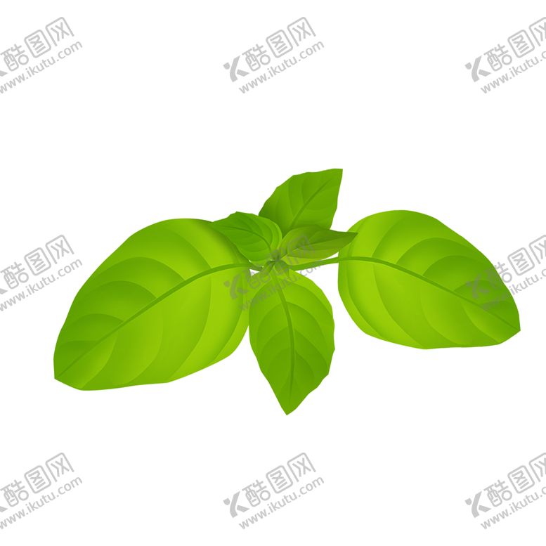 编号：45985904270443253372【酷图网】源文件下载-荆芥手绘