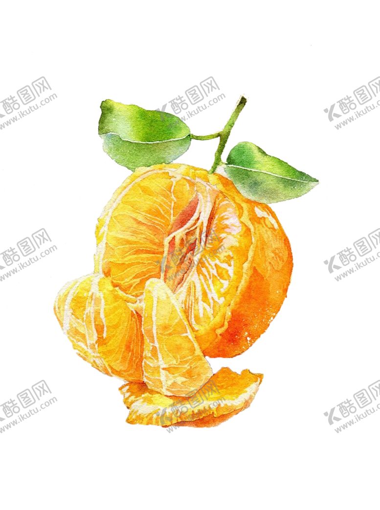 编号：83125909162119082024【酷图网】源文件下载-水果