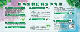 病媒生物防治宣传专栏