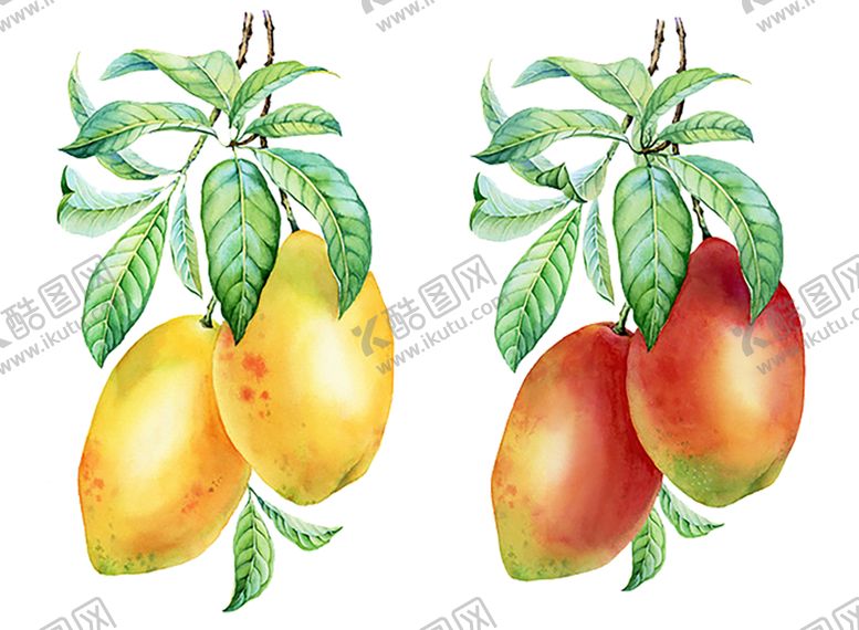 编号：82615710122300002473【酷图网】源文件下载-水果