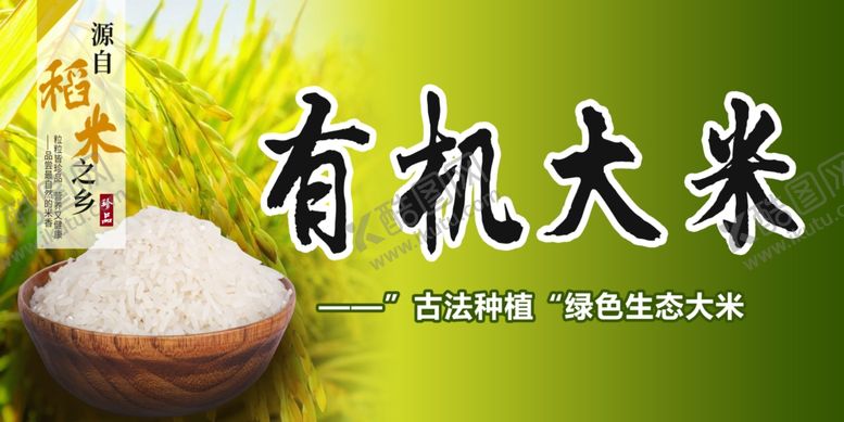 编号：71603701170126204566【酷图网】源文件下载-大米