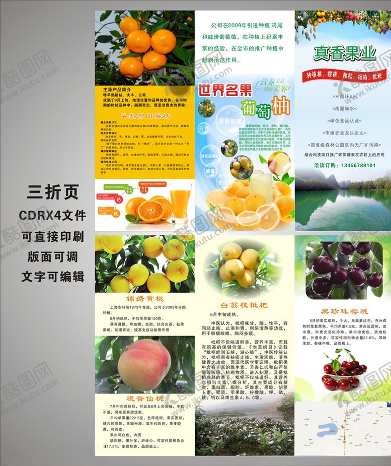 编号：43090209171119146447【酷图网】源文件下载-水果三折页