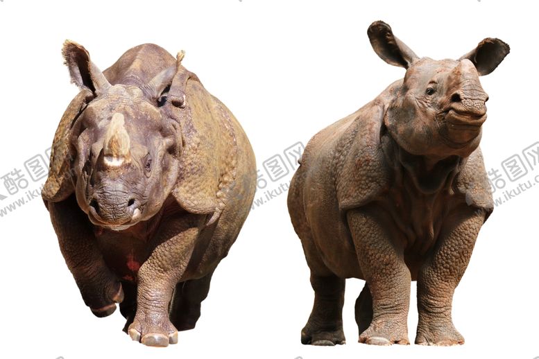 编号：75101911011802011765【酷图网】源文件下载-犀牛