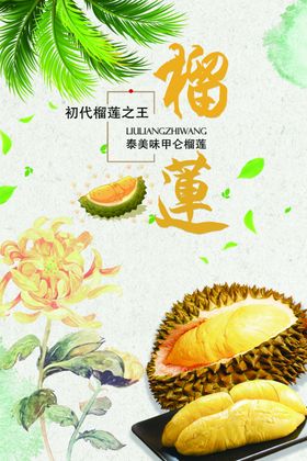 榴莲海报