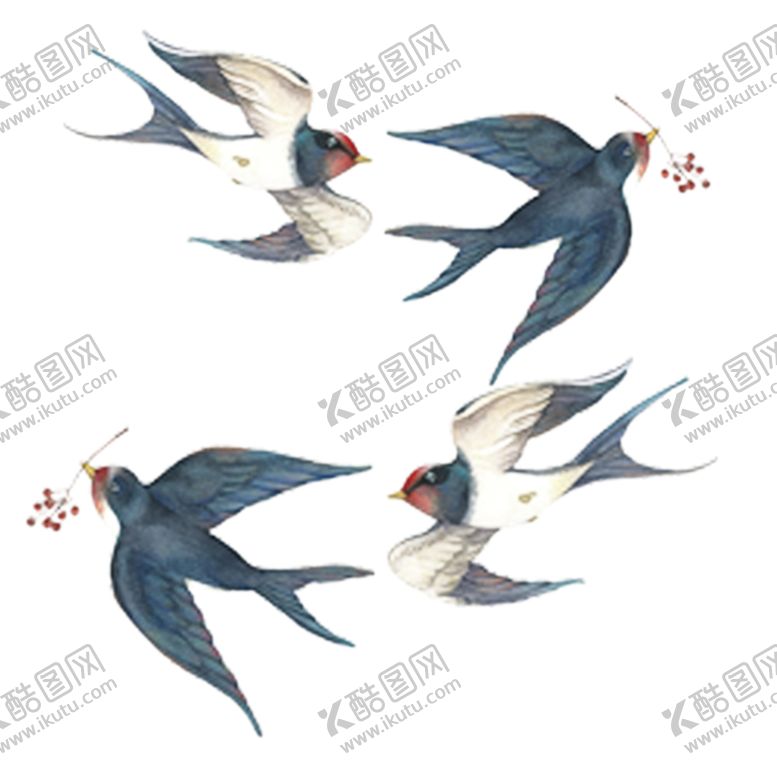 编号：36166707020557377044【酷图网】源文件下载-燕子素材