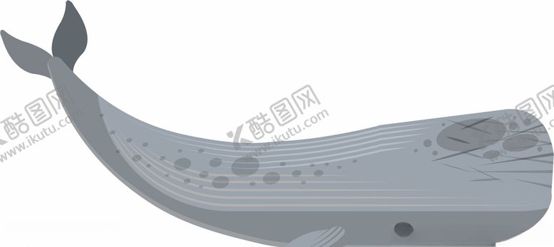 编号：24065509191315277391【酷图网】源文件下载-卡通鲸鱼