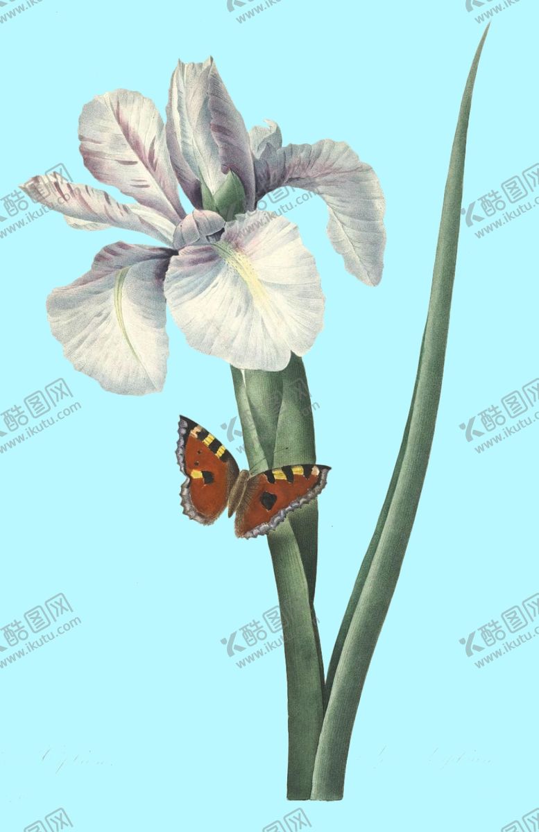 编号：84994707031413338544【酷图网】源文件下载-手绘花