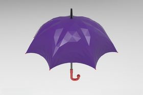 3D雨伞