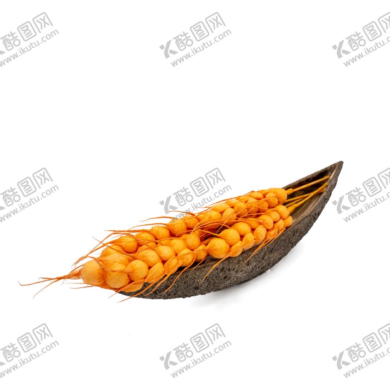 编号：40233009141744109497【酷图网】源文件下载-免抠背景干花枯花