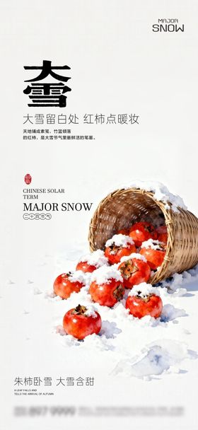 大雪海报02