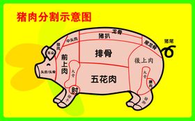猪肉分割图