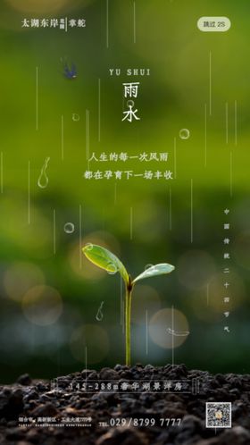 雨水