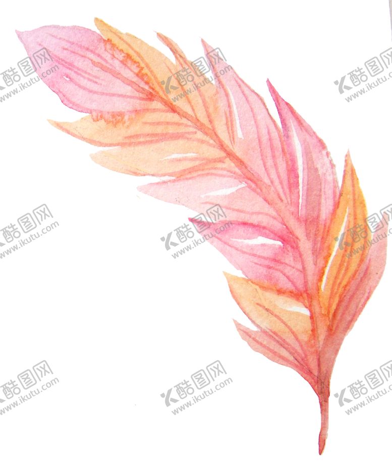 编号：57008609171724007047【酷图网】源文件下载-手绘水彩羽毛