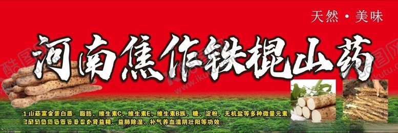 编号：89224403012002368269【酷图网】源文件下载-河南焦作铁棍山药