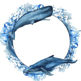 海洋主题插画图案