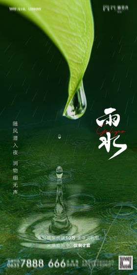 雨水海报