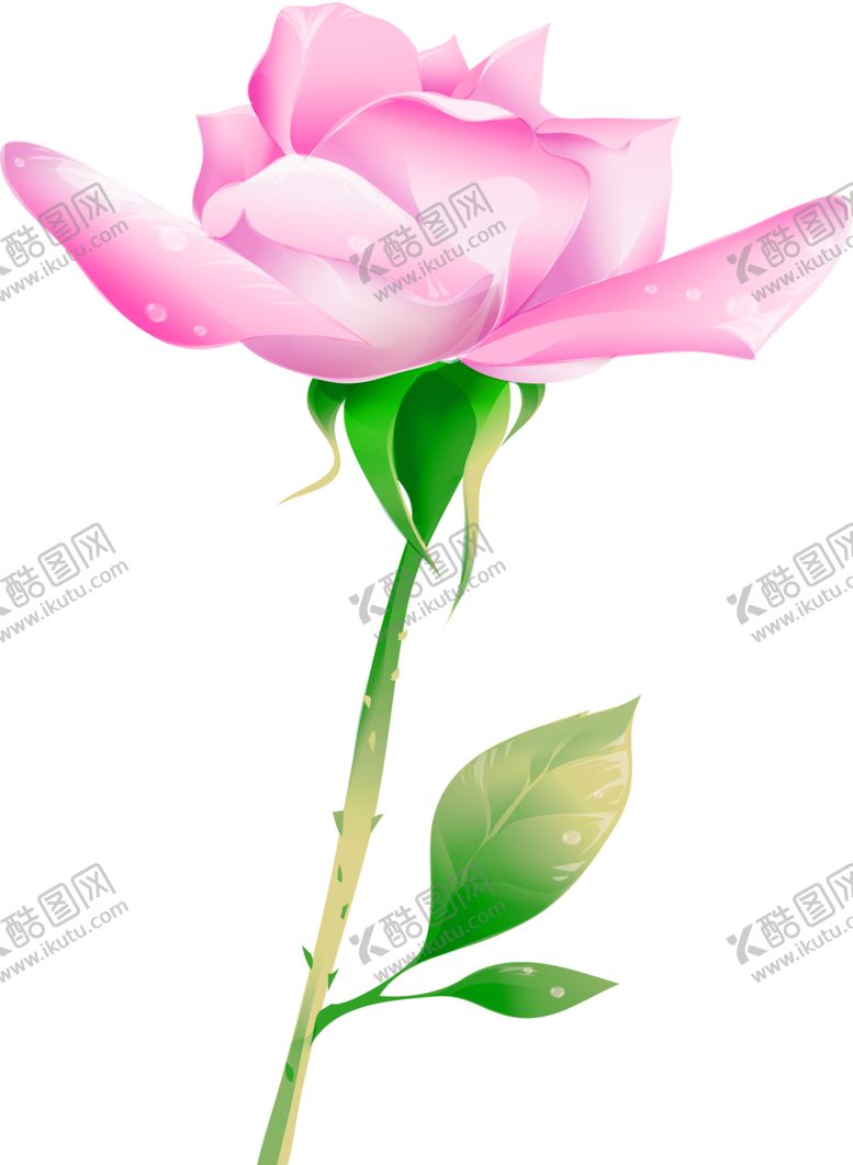 编号：71077110251145203991【酷图网】源文件下载-鲜花素材