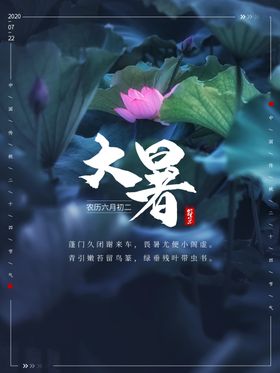 二十四节气大暑海报