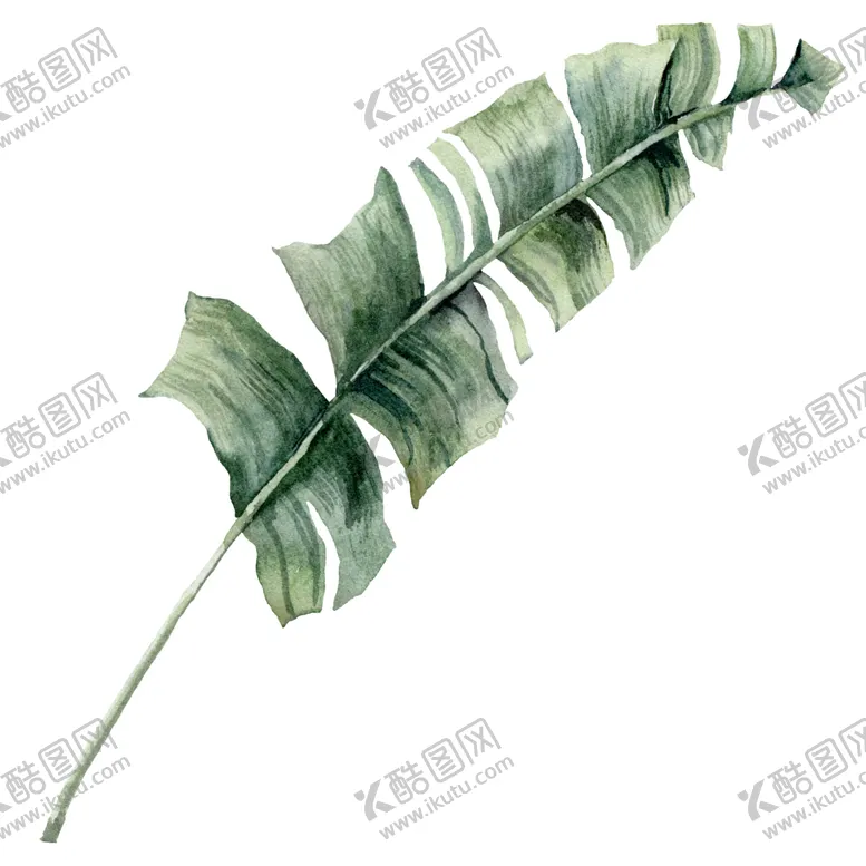 编号：37160606292042035397【酷图网】源文件下载-植物花朵装饰图案