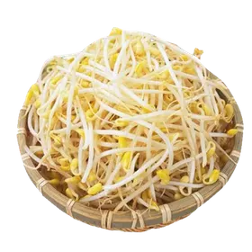 豆芽