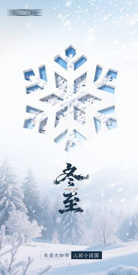 冬至冬天雪花海报