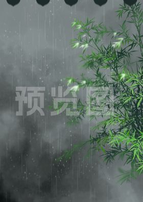 雨天竹子