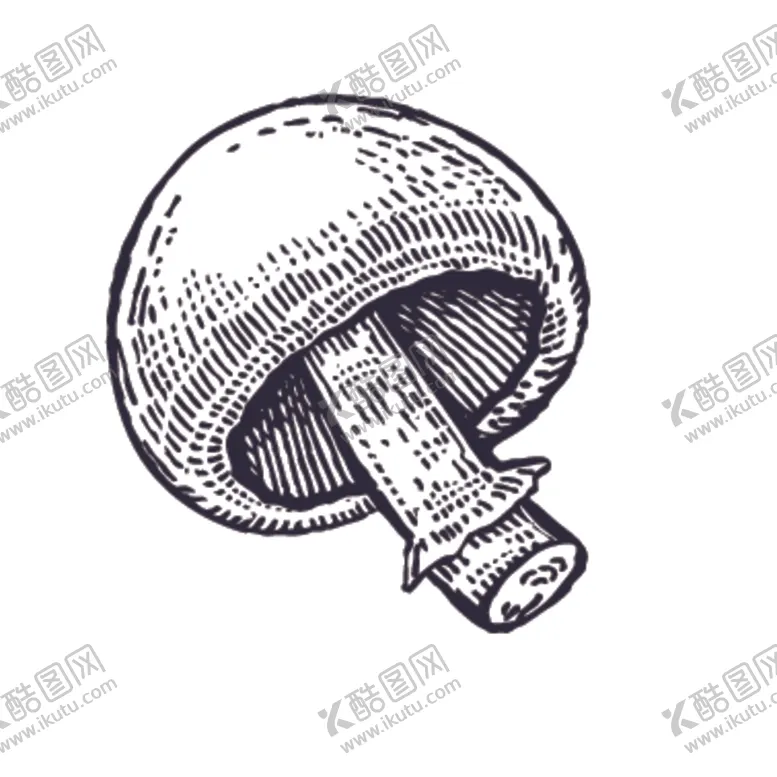 编号：86482406170858061804【酷图网】源文件下载-餐饮食物插画元素