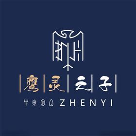 鹰灵之子ZHENYI自用