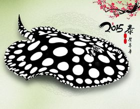 水族观赏鱼海报banner