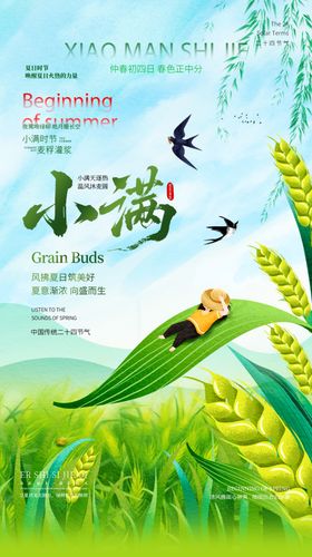 清新小满节气田园风光图