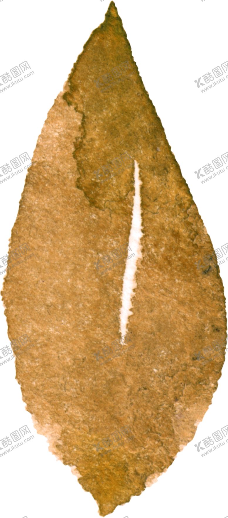 编号：51494409211148573041【酷图网】源文件下载-叶子