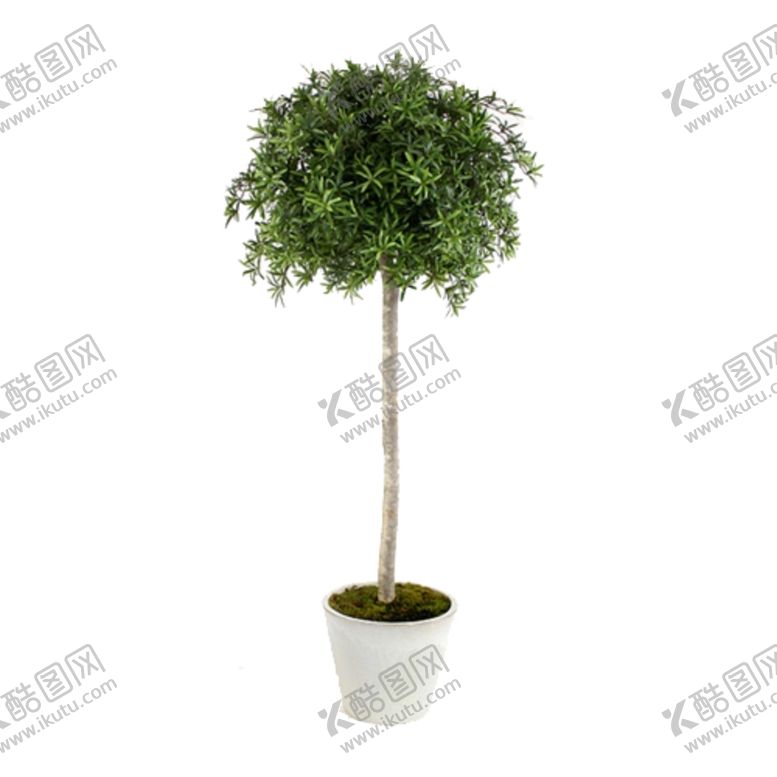 编号：53724810311438378742【酷图网】源文件下载-免抠背景花草树木