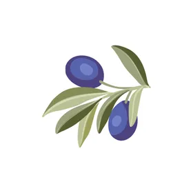 森系花枝