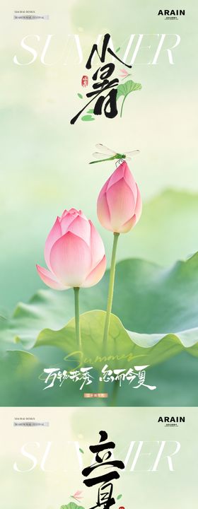 地产立夏小暑荷叶风景海报