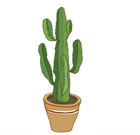 植物手绘