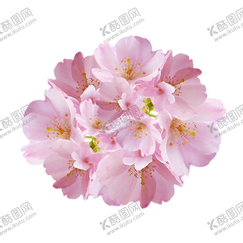 编号：80207310050459403934【酷图网】源文件下载-手绘植物花卉