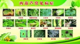 病症分析海报