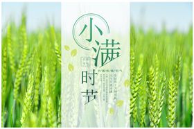 小满