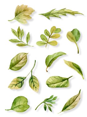 小清新水彩手绘植物叶子矢量元素