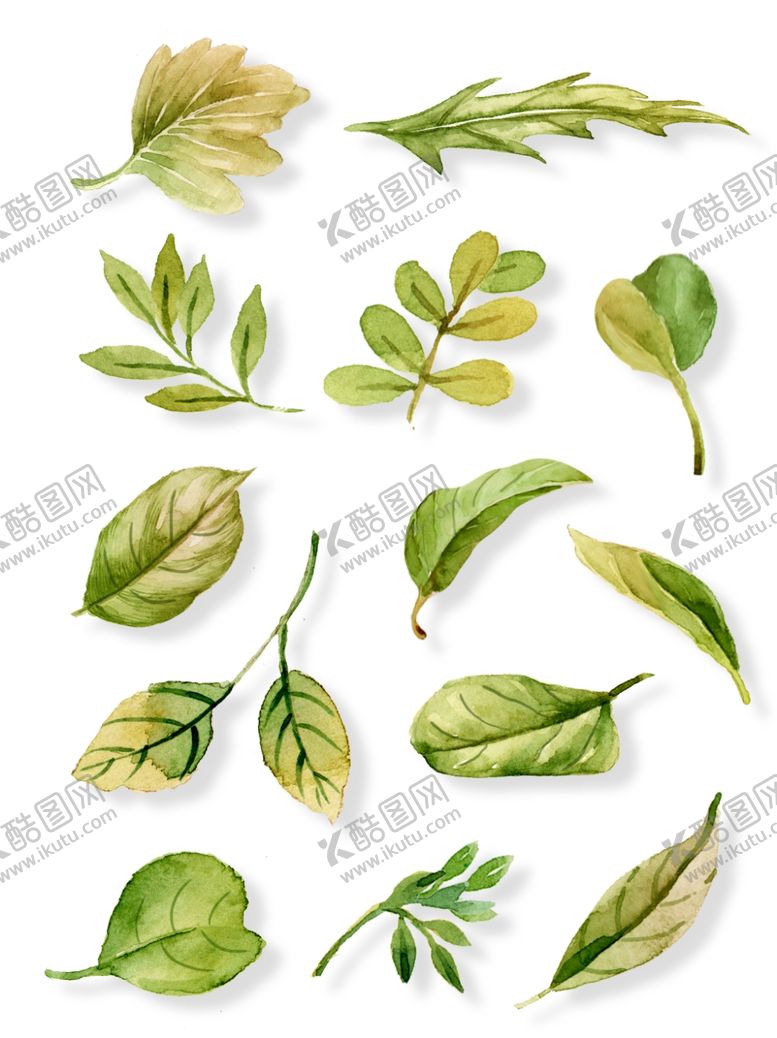 编号：83265207082329117840【酷图网】源文件下载-小清新水彩手绘植物叶子矢量元素