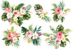 热带花卉植物装饰图案