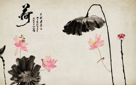 荷花背景墙