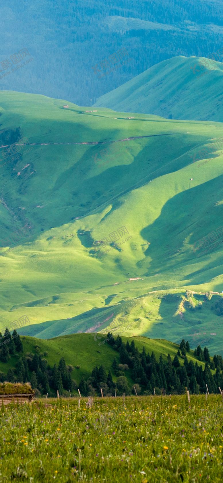 编号：99875410031002239007【酷图网】源文件下载-手机壁纸