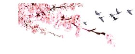 花枝