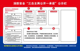 三自主两公开一承诺图片