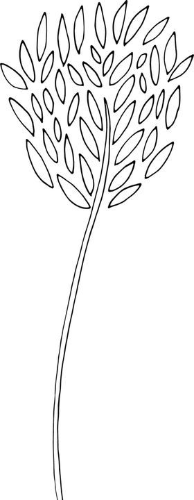 秘密花园插画PNG卉透明底