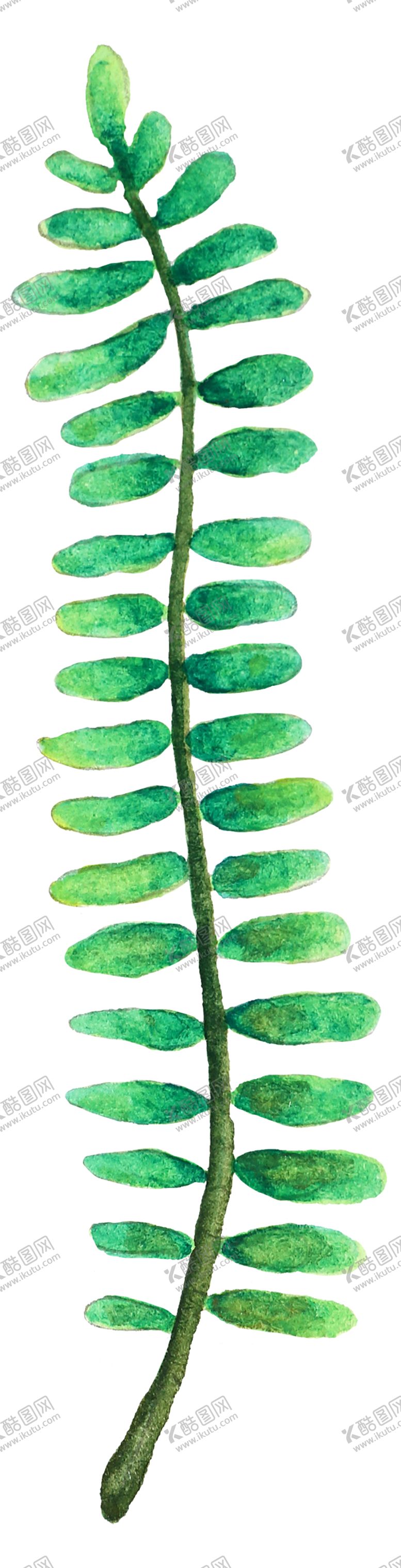 编号：99880707050359236257【酷图网】源文件下载-清新水彩植物树叶插画