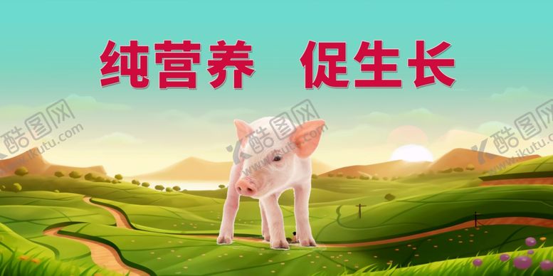 编号：90960601170305406629【酷图网】源文件下载-猪海报