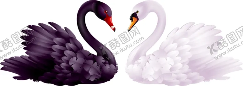 编号：80605703131035199223【酷图网】源文件下载-天鹅